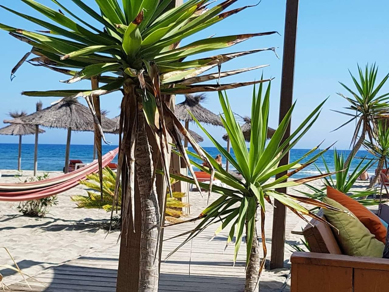 Beau Studio A 1 Minute De La Plage Кане Экстерьер фото